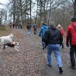 Wandertag 2019 - 027